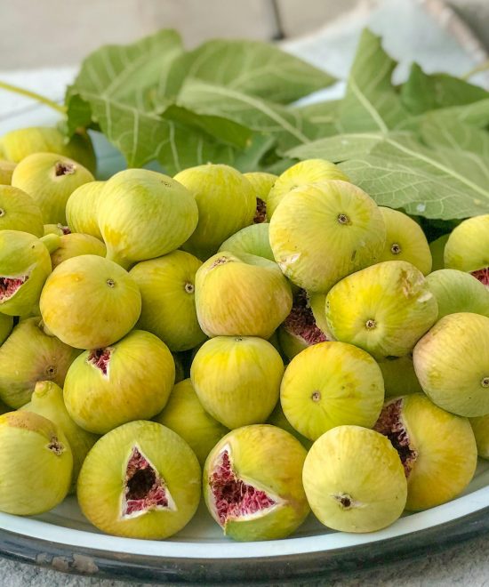 Tipi di Concimi Utilizzati nella Coltivazione dei Fichi: Guida Completa per una Produzione di Qualità