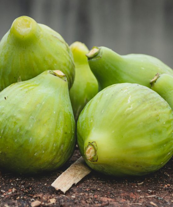 Documenti necessari per la produzione e la commercializzazione dei fichi: linee guida e termini